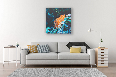 Orange Fish, Art Canvas Print - Beleco